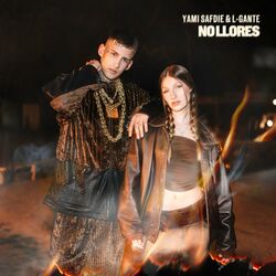 Cover of No Llores