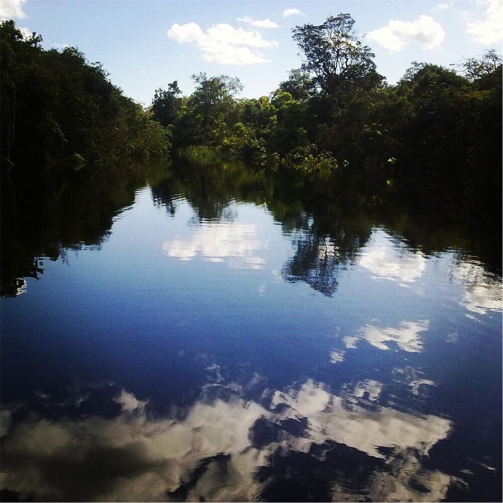 Picture of Naturally