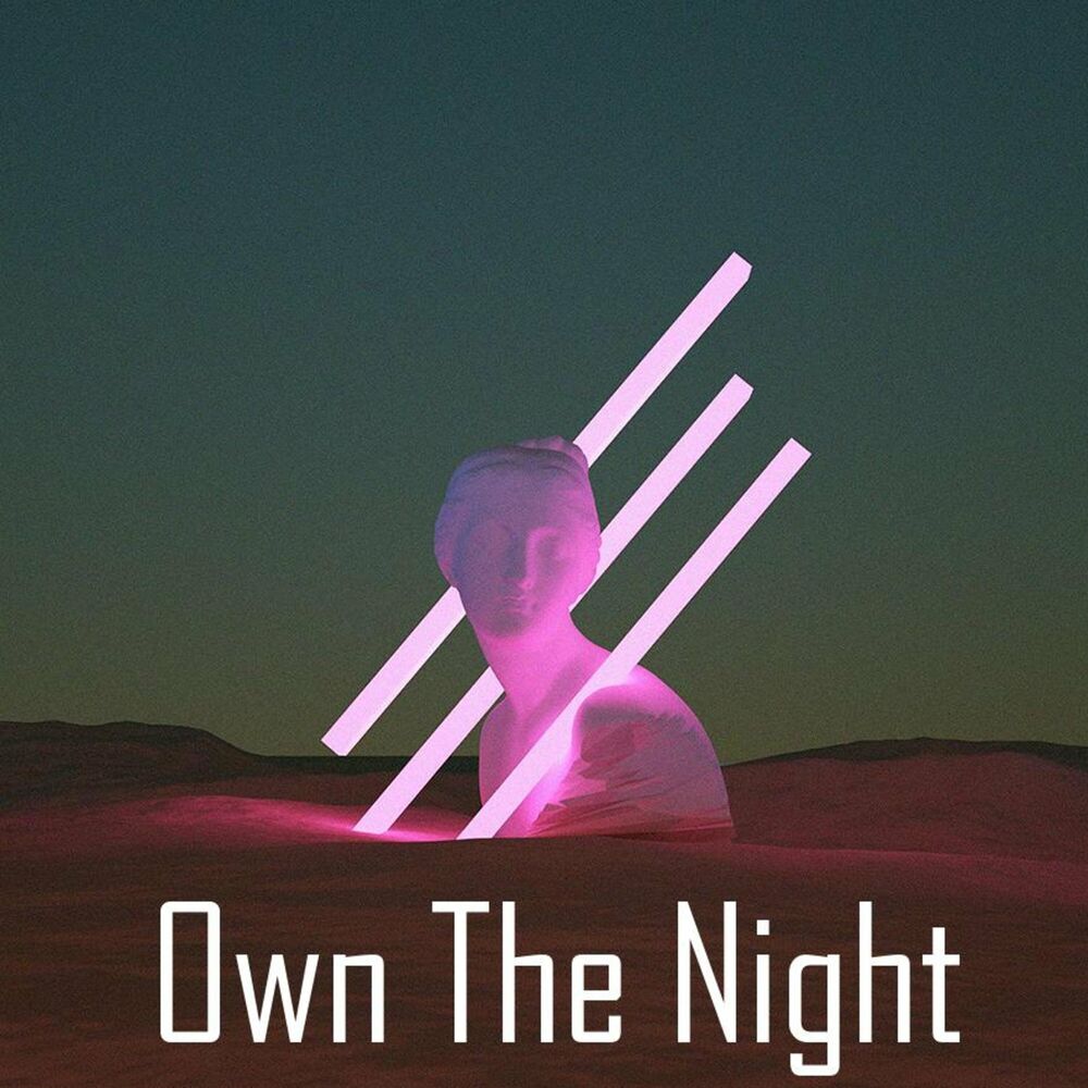Picture of Own The Night