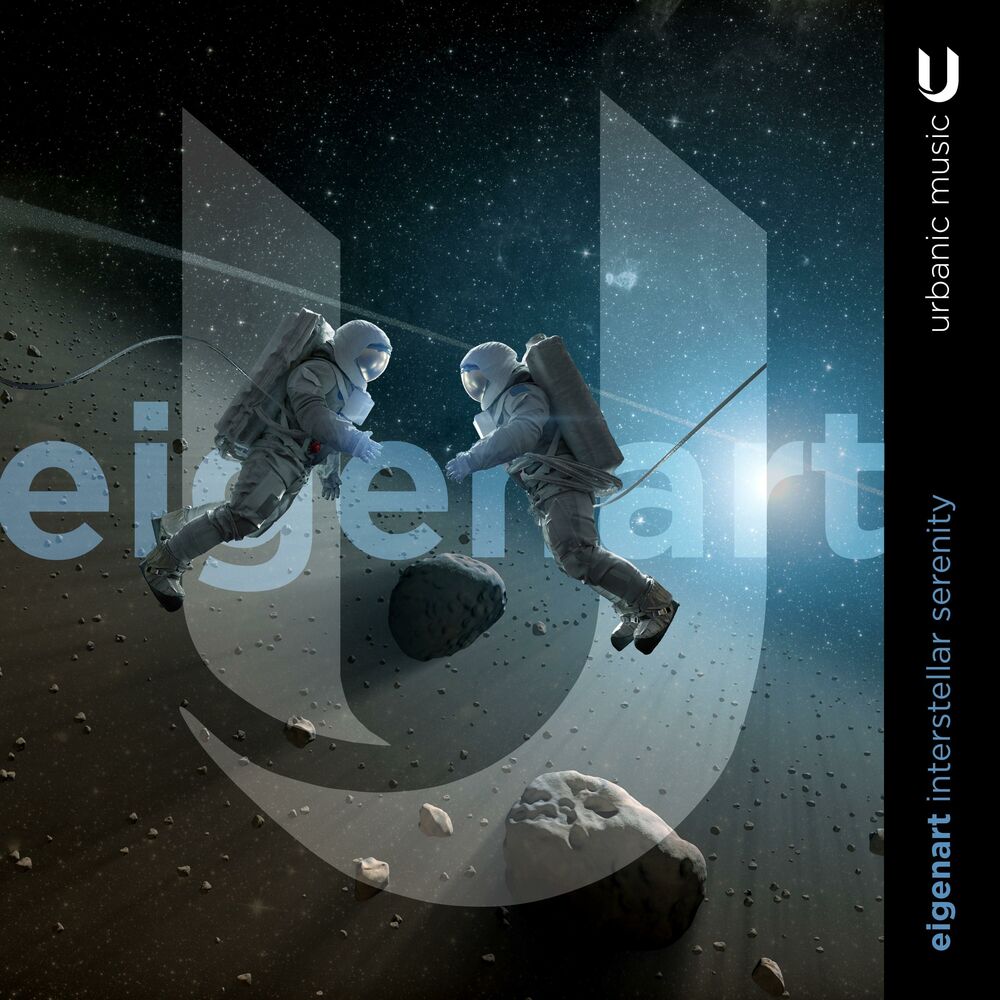 Picture of Interstellar Serenity