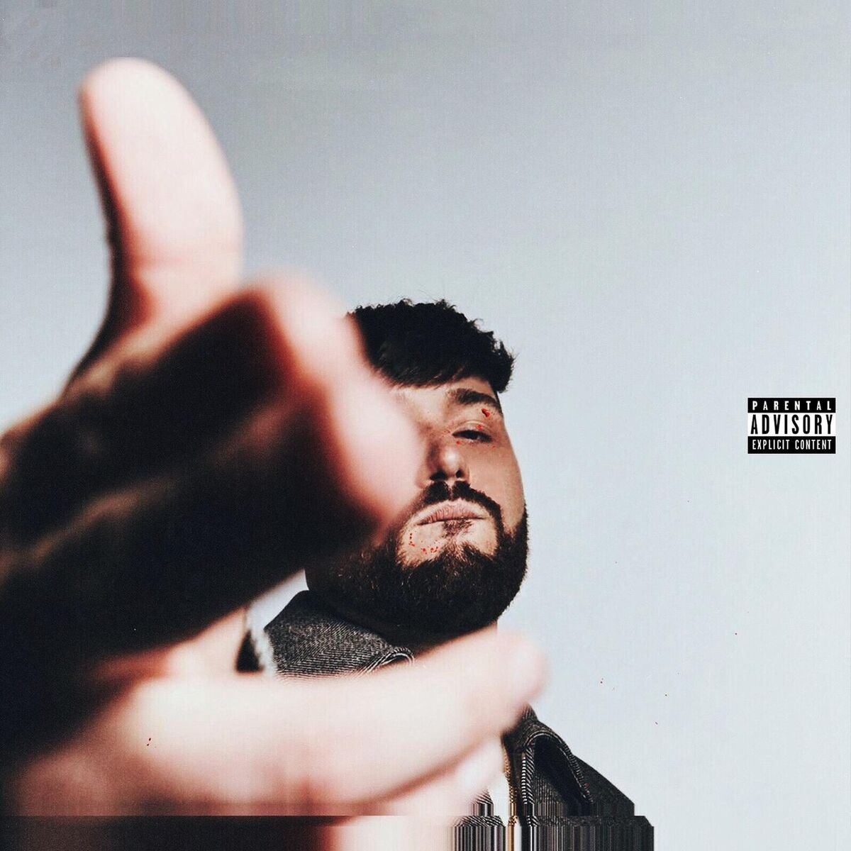 Album cover of No No No