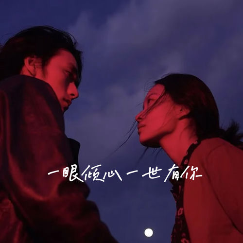 一眼倾心一世有你
