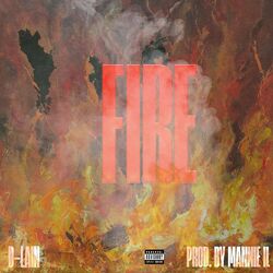 Cover of Fire