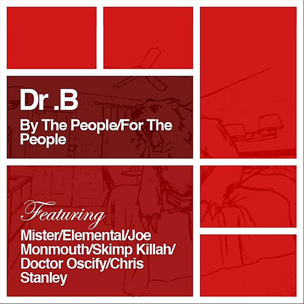 Picture of By the People: For the People