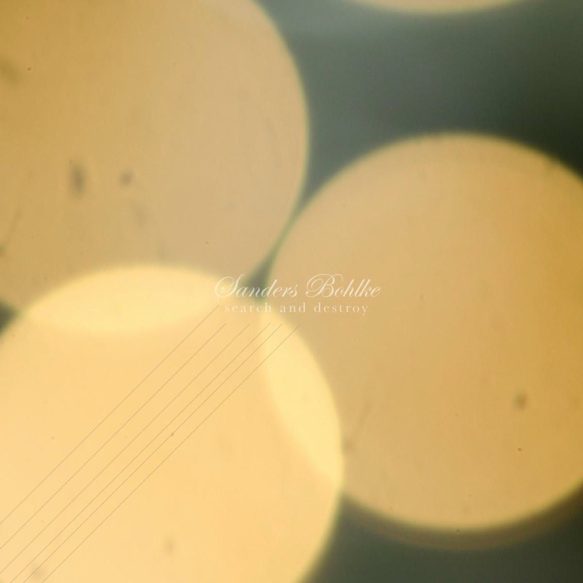 Album cover of Search and Destroy