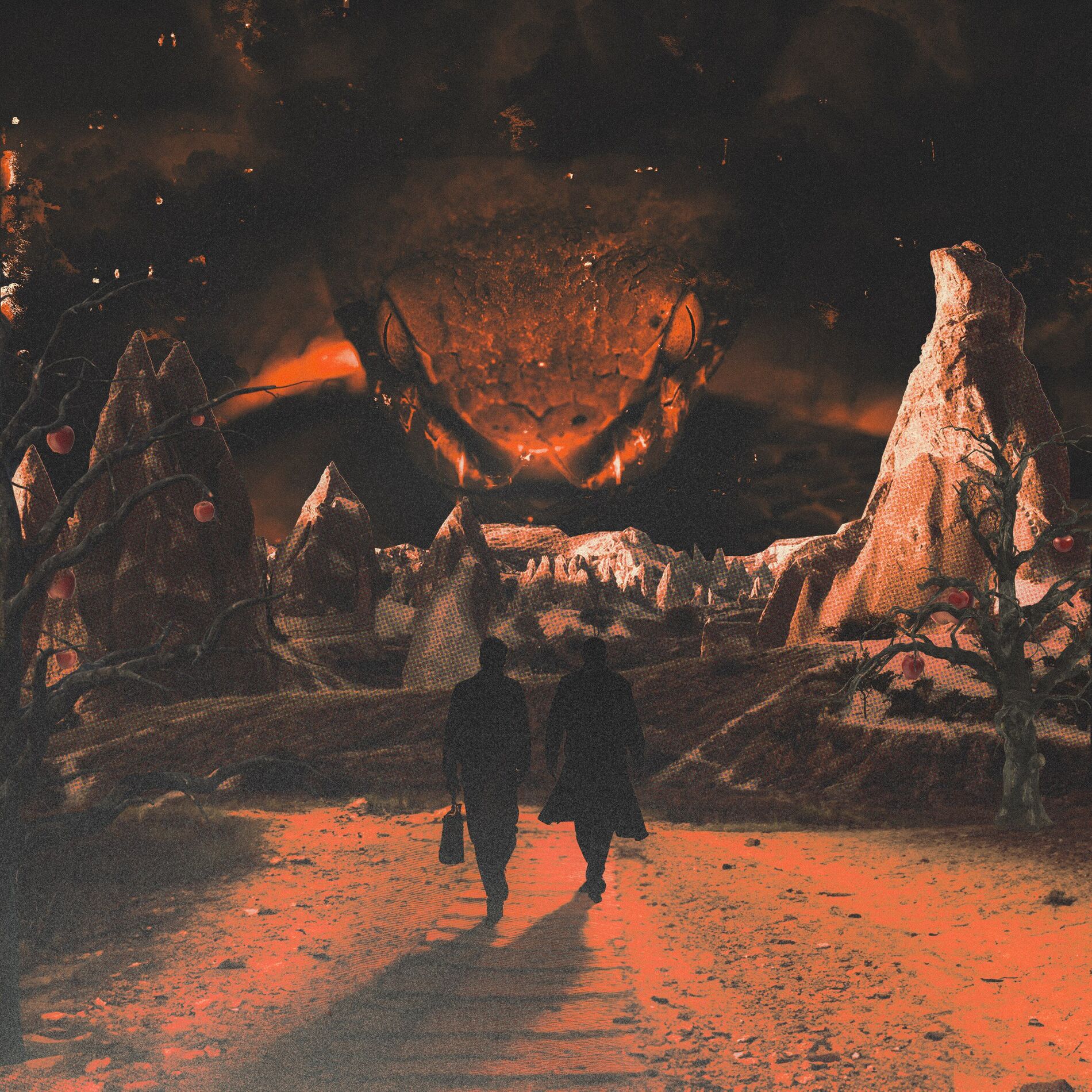 Album cover of Dcdz