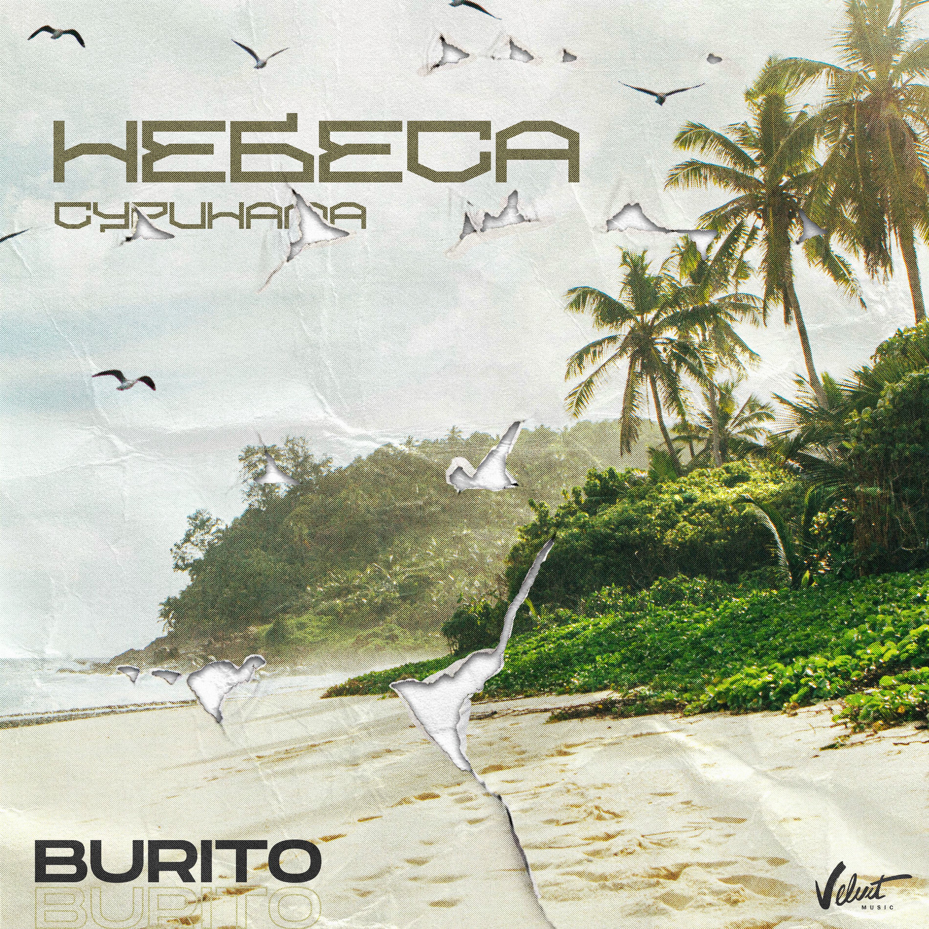 Album cover of Небеса Суринама