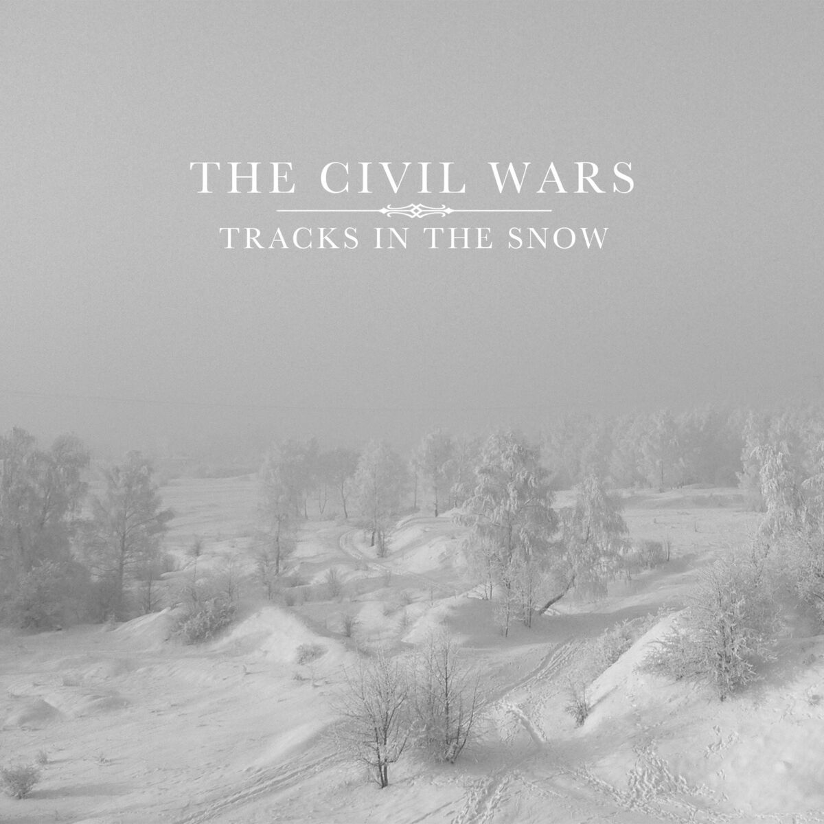 Album cover of Tracks in the Snow
