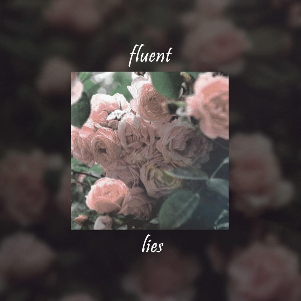 Picture of Lies