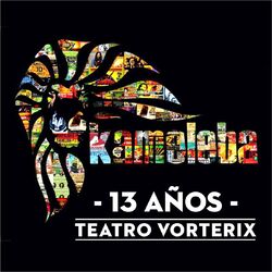 Cover of 13 Años Teatro Vorterix