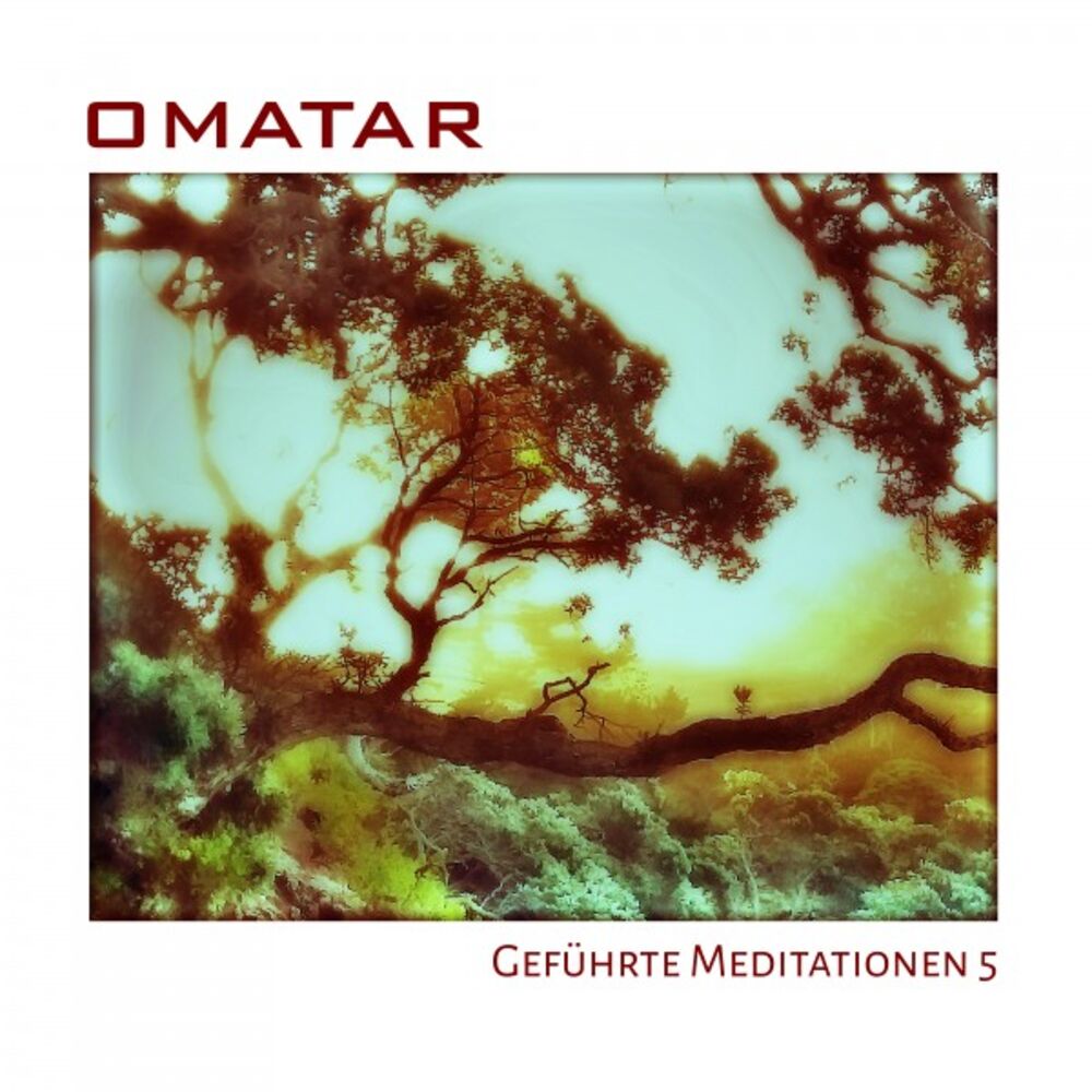 Picture of Geführte Meditationen 5