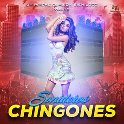 Cover of Un Pinche Cumbion Bien Loco Vol. 12