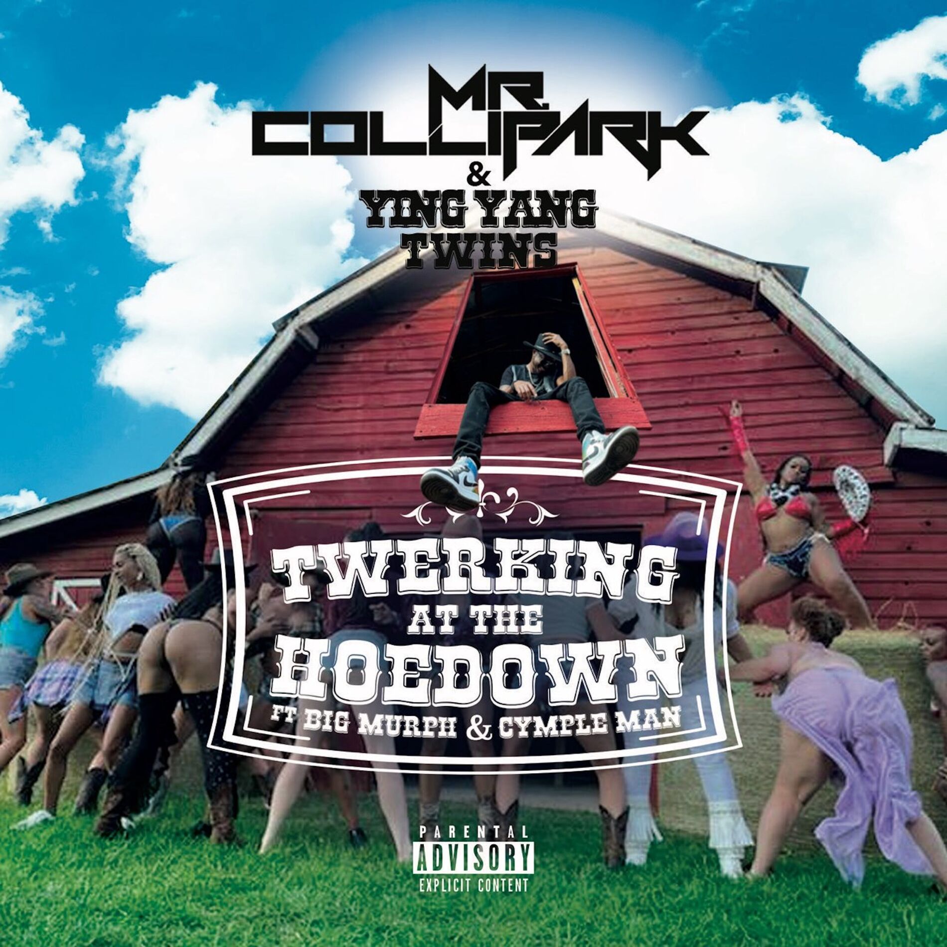 Album cover of Twerking at the Hoedown