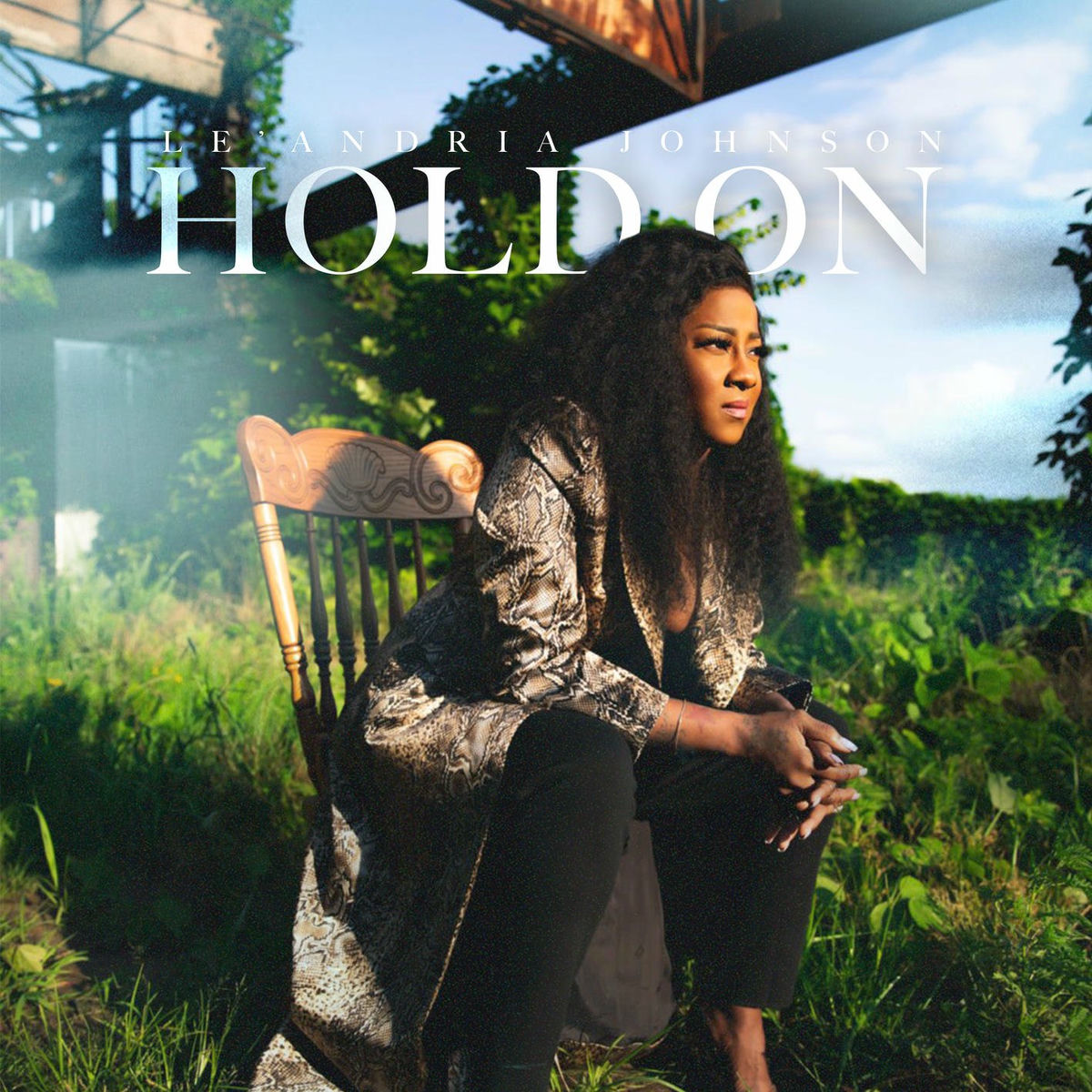 Album cover of Hold On