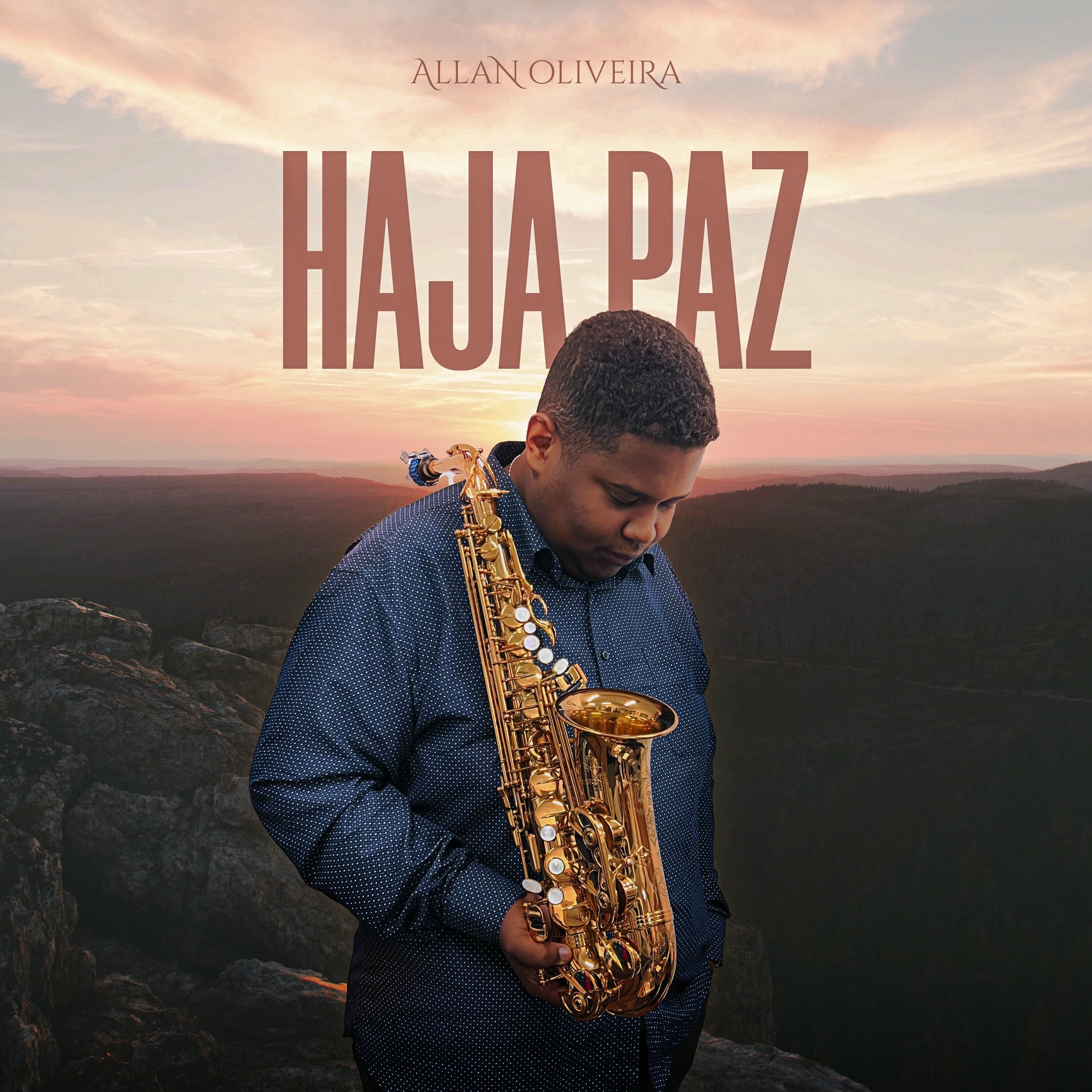 Album cover of Haja Paz