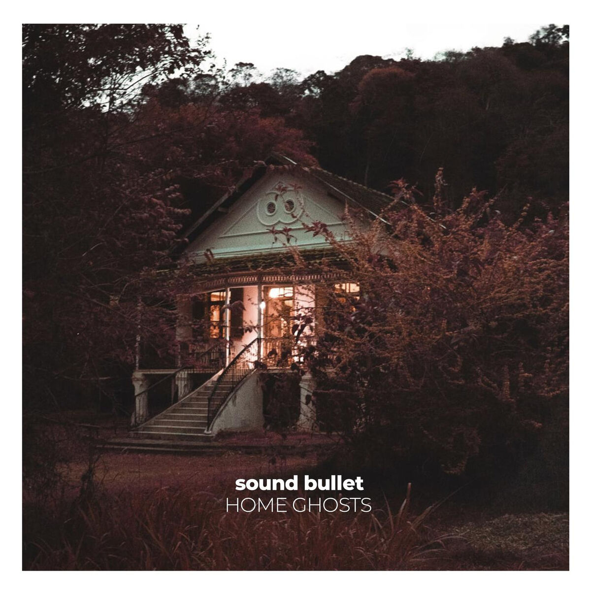Album cover of Home Ghosts