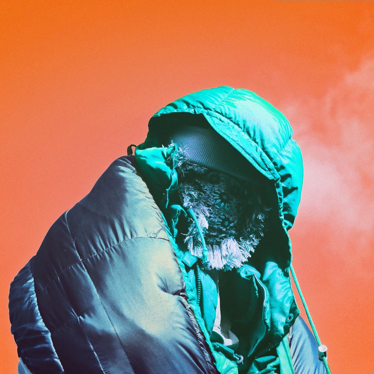 Album cover of Man Zoo (Live Ensemble & Acoustic)