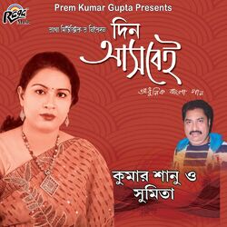 Cover of Din Ashbei