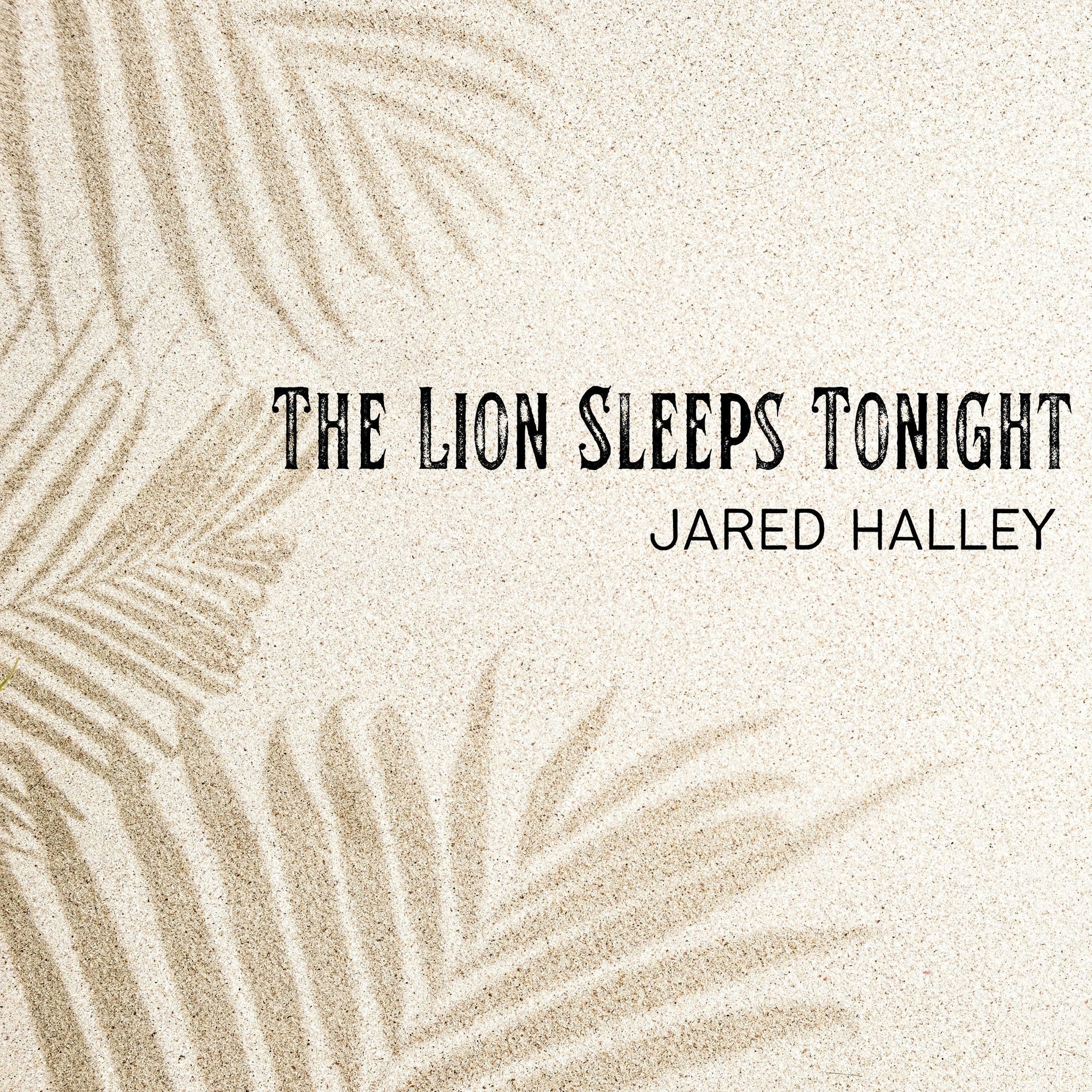 Album cover of The Lion Sleeps Tonight (Acapella)