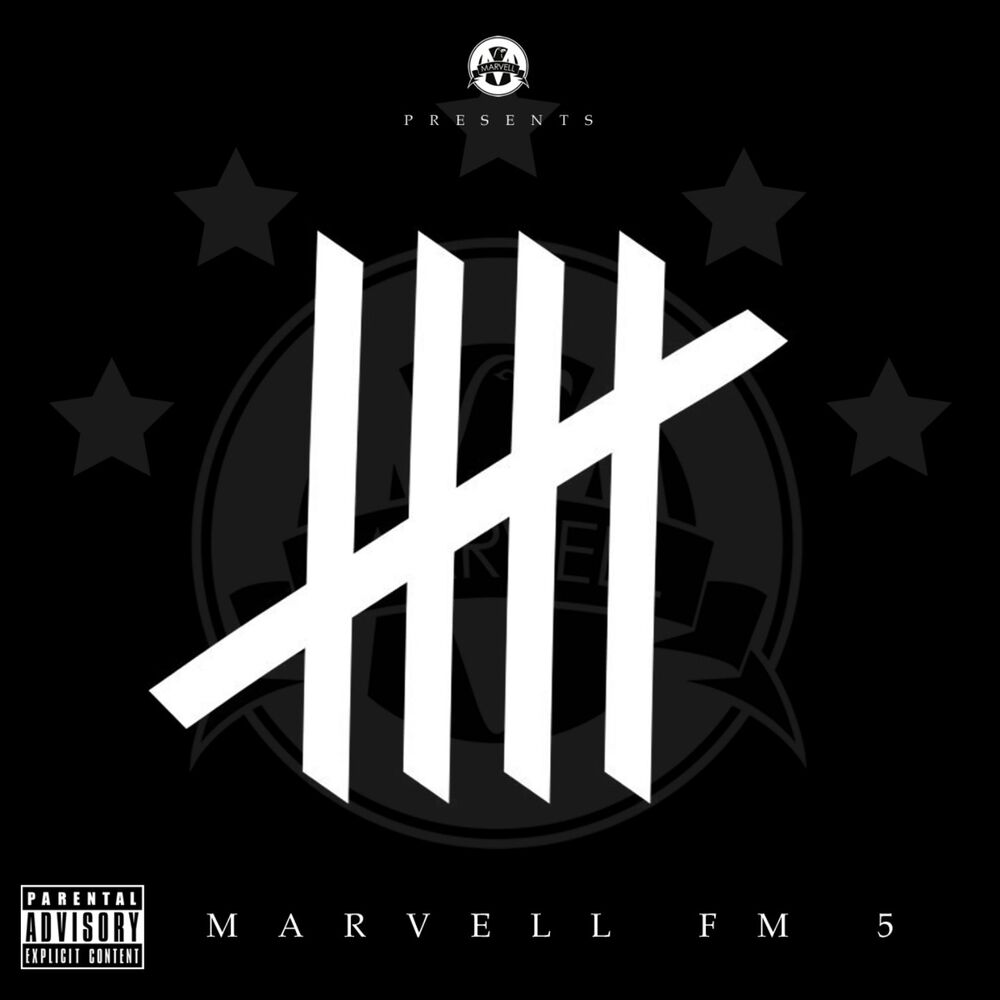 Picture of Marvell FM 5