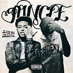 Cover of Jungle