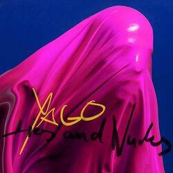 Cover of Lies and Nudes