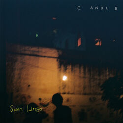 Cover of Candle