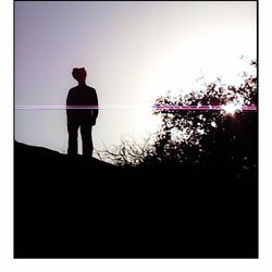 Cover of If You Leave