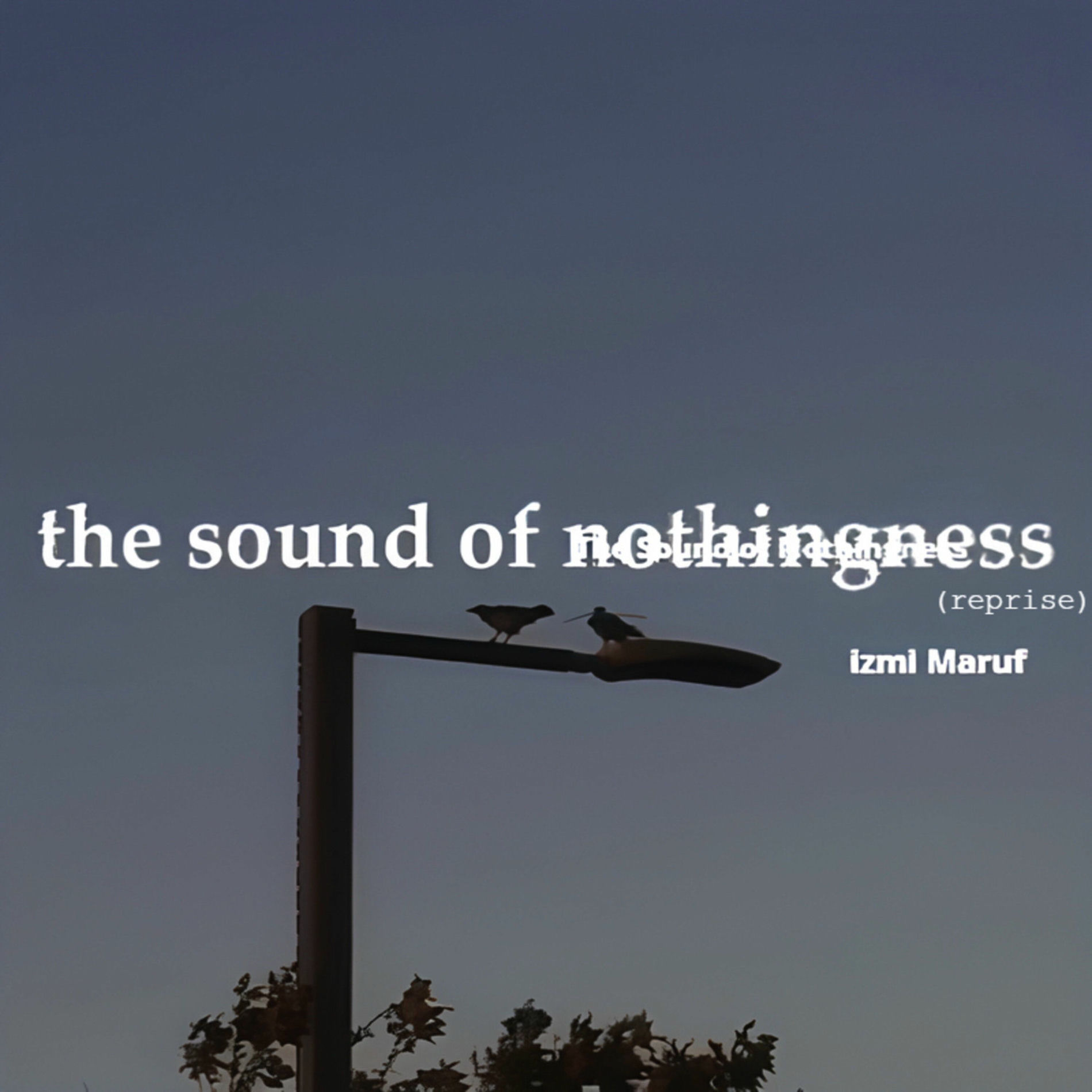 Album cover of The Sound of Nothingness (Reprise)