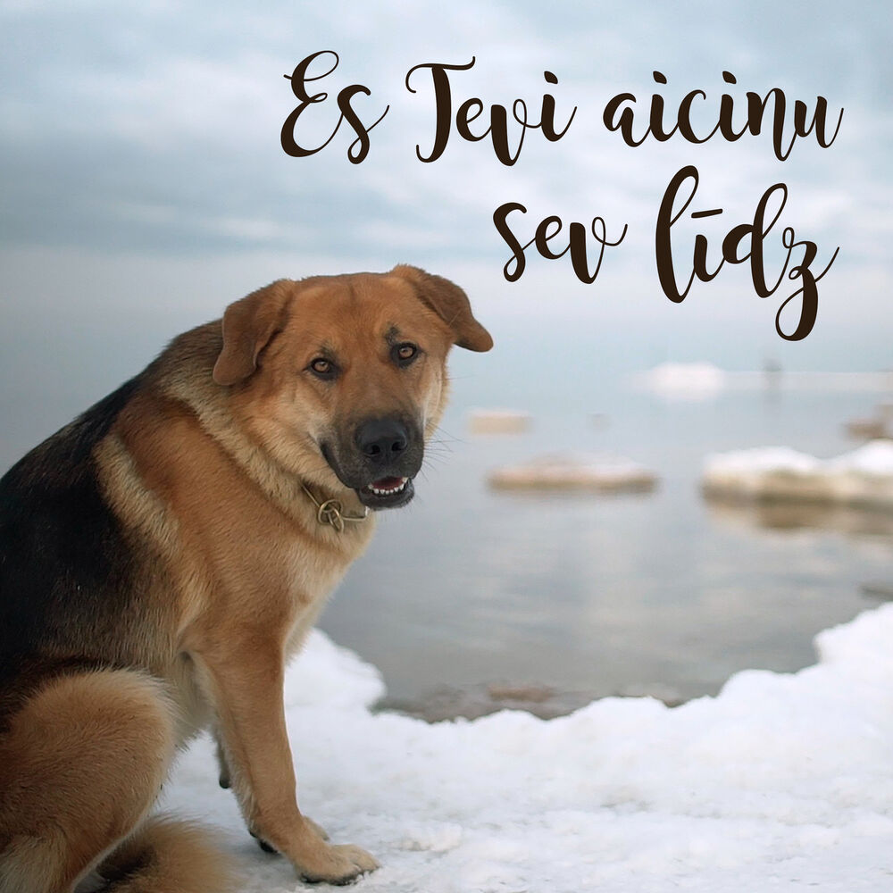 Picture of Es tevi aicinu sev līdz