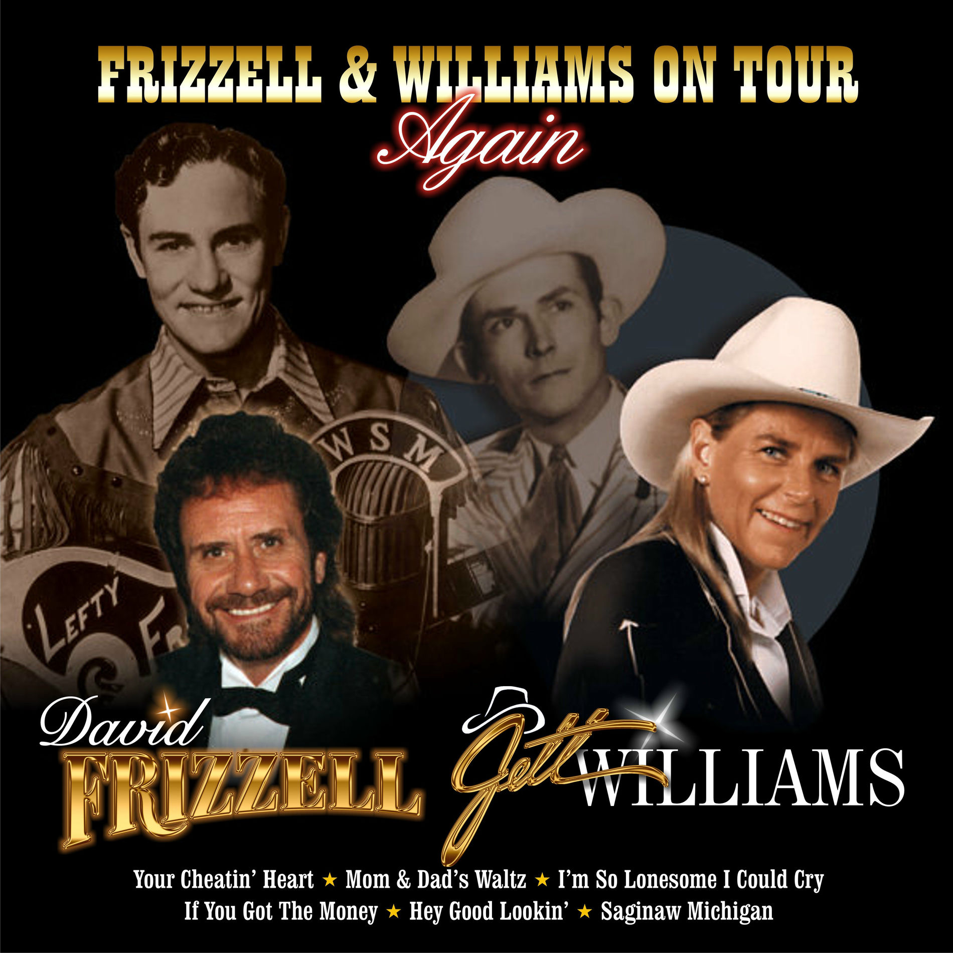 Album cover of Frizzell & Williams On Tour Again (Live)