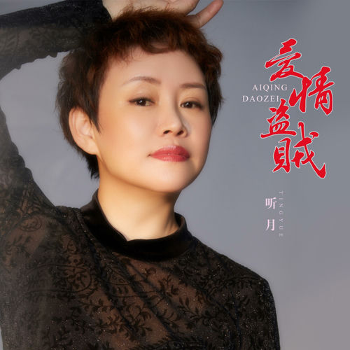 爱情盗贼 (DJ默涵版)
