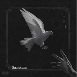 Cover of Sanctum