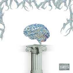 Cover of Insano