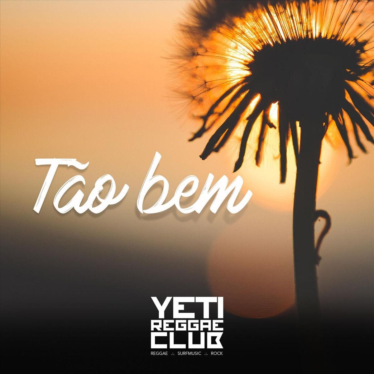 Album cover of Tão Bem