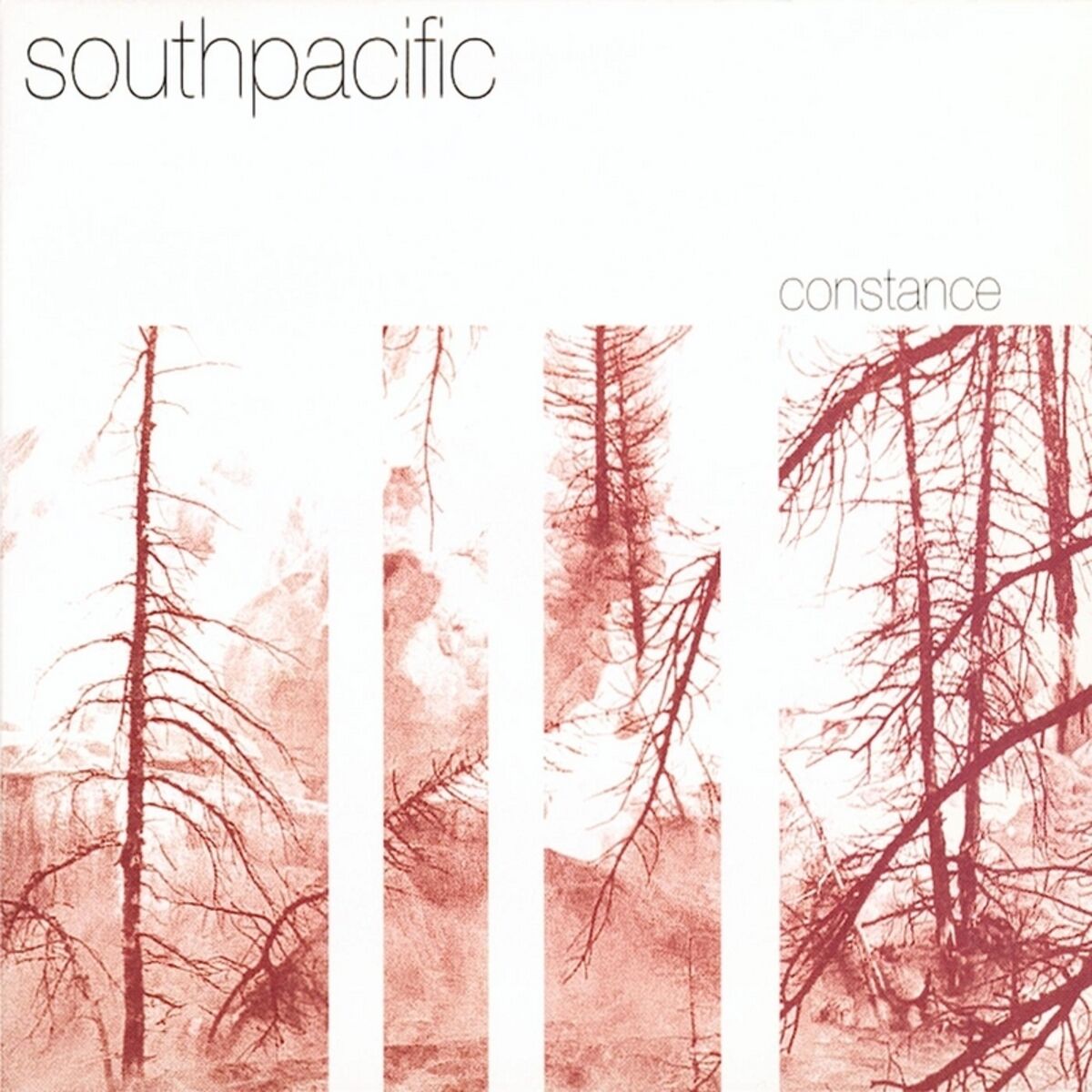 Album cover of Constance