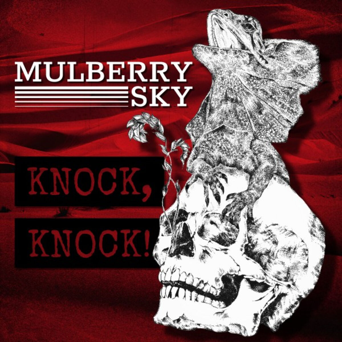 Album cover of Knock, Knock!