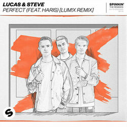 Cover of Perfect (feat. Haris) (LUM!X Remix)