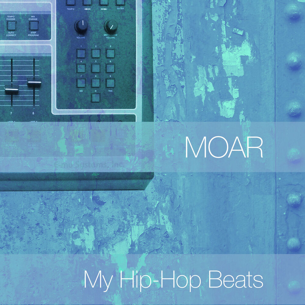 Picture of My Hip-Hop Beats