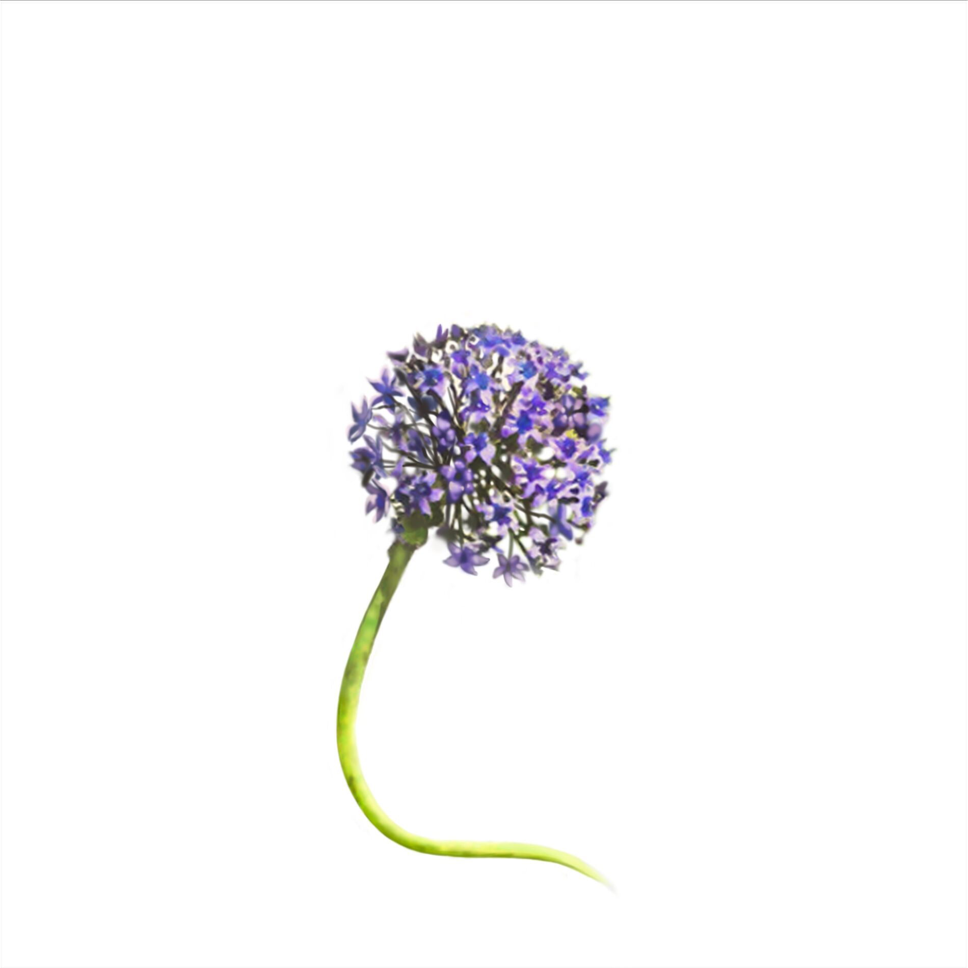 Album cover of Good Morning