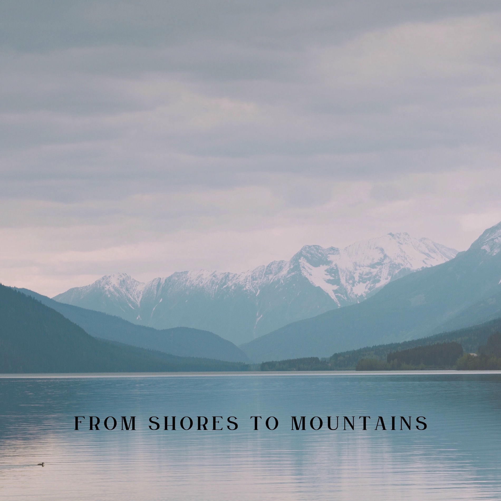 Album cover of From Shores To Mountains