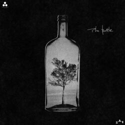 Cover of The Bottle