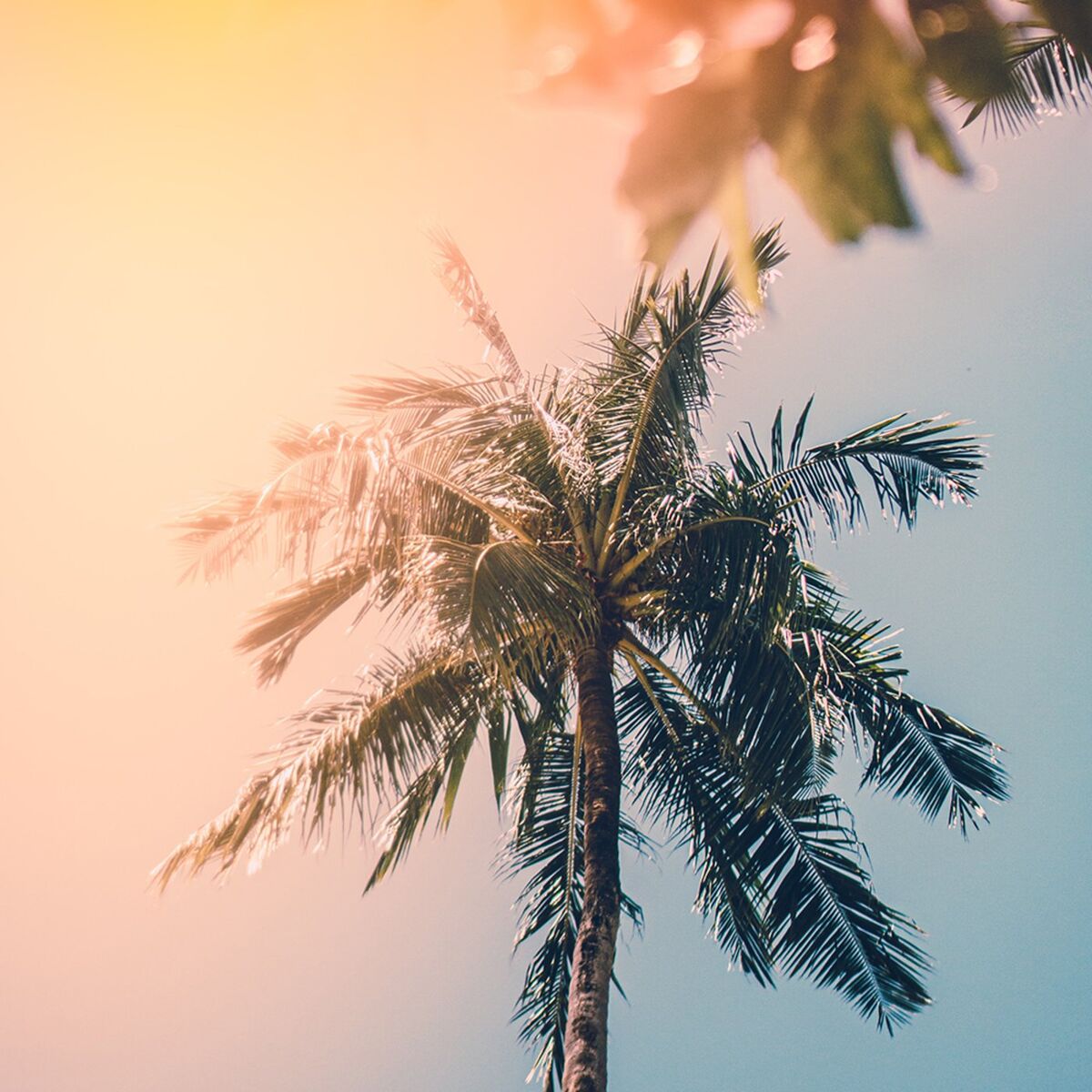 Album cover of Chillout Music - Chill Vibes - Chill Hits - Chill Tracks - Chilled - Chill Pop - Acoustic Chill
