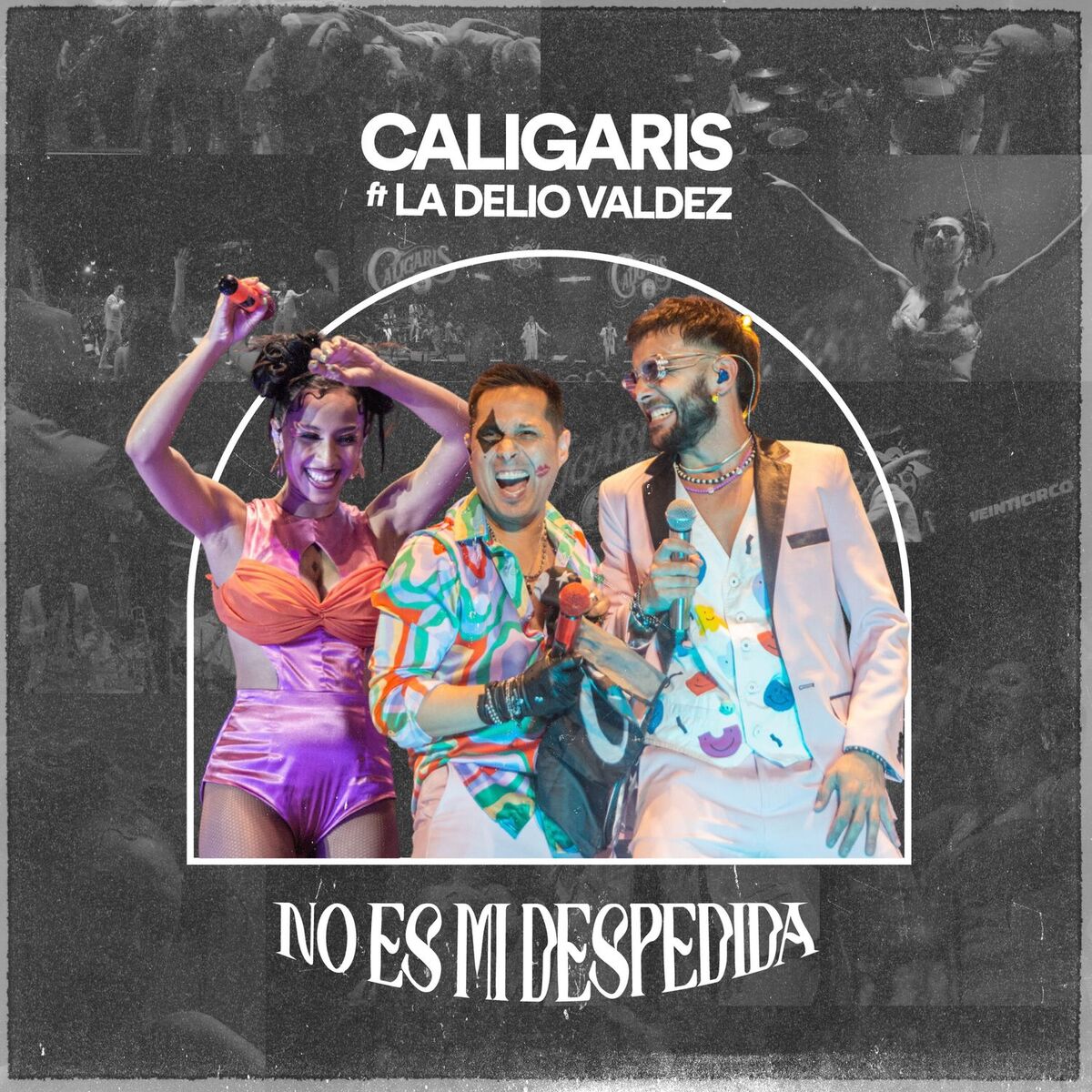 Album cover of No Es Mi Despedida (En Vivo)