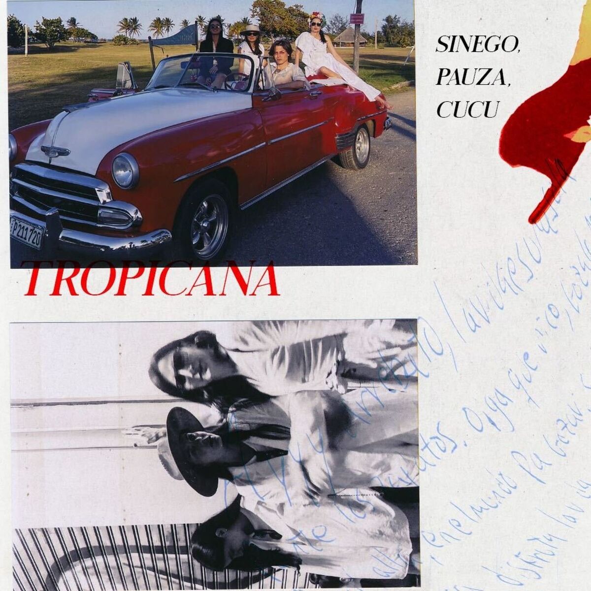 Album cover of Tropicana