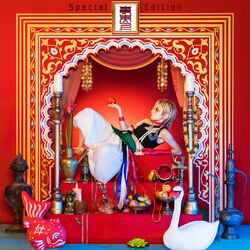 Cover of Jijitsujo(Special edition)