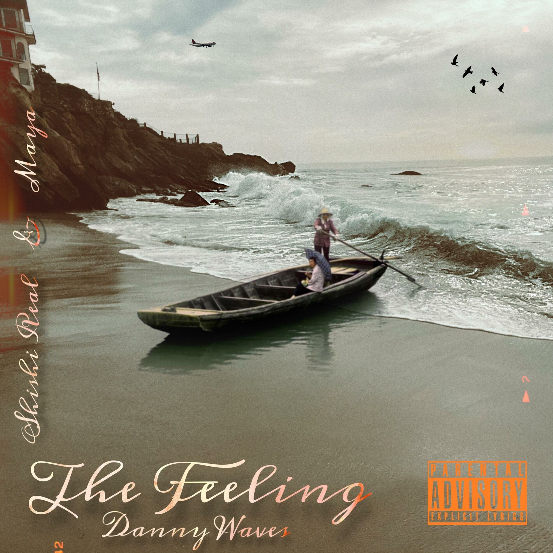 Album cover of The Feeling (feat. Shishi Real & Maya)