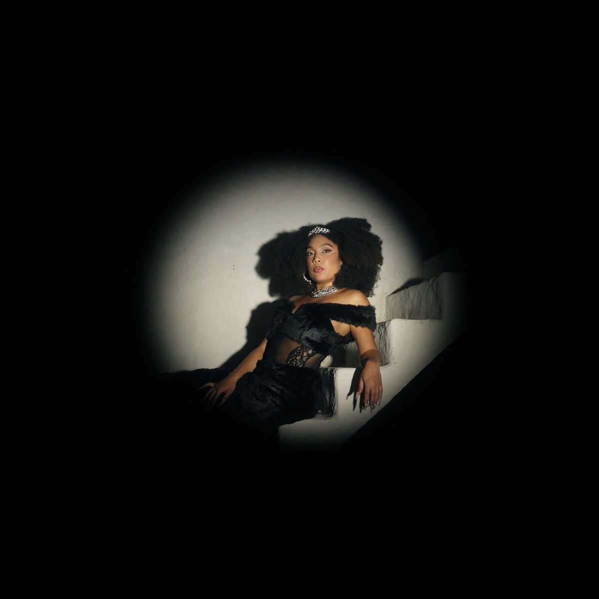 Album cover of Les Ailes