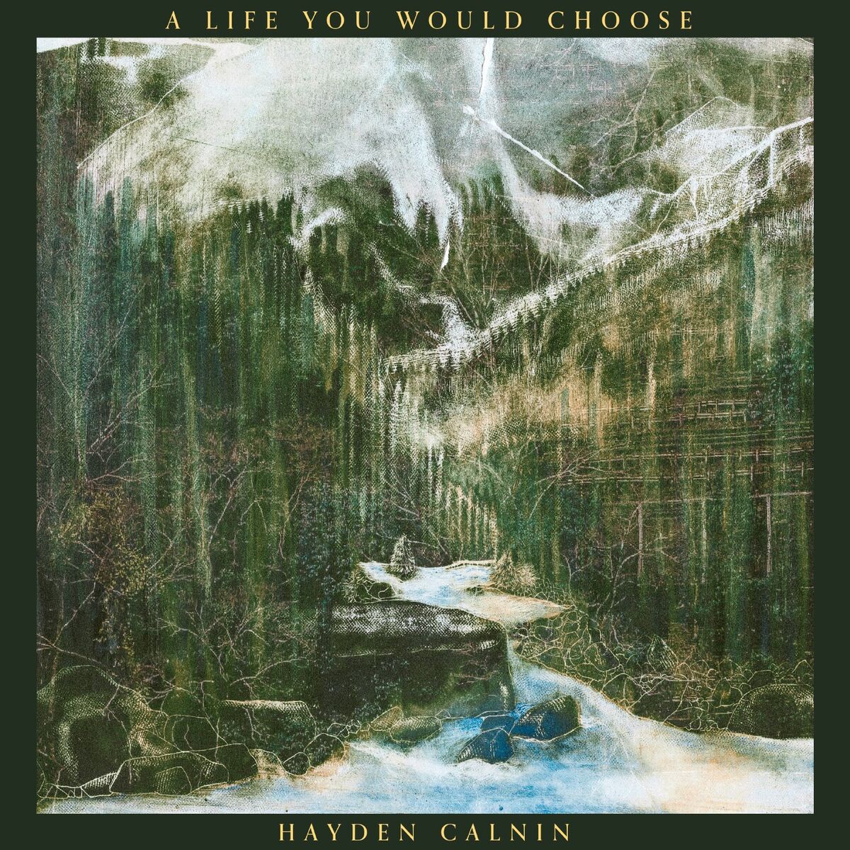 Album cover of A Life You Would Choose