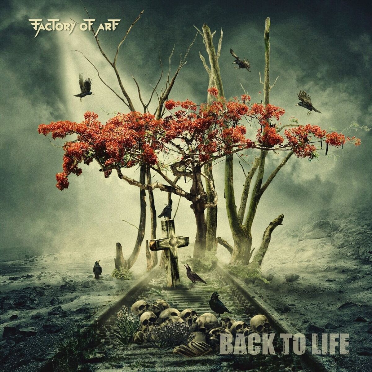 Album cover of Back to Life